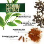 کپسول عصاره چای سبز حاوی EGCG و کاتچین